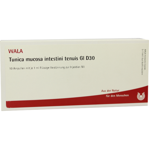 Verpackungsbild(Packshot) von TUNICA mucosa intestini tenuis GL D 30 Ampullen