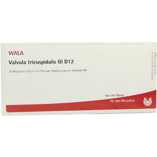 Verpackungsbild(Packshot) von VALVULA tricuspidalis GL D 12 Ampullen