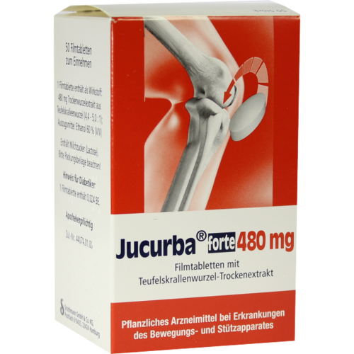 Verpackungsbild(Packshot) von JUCURBA forte 480 mg Filmtabletten