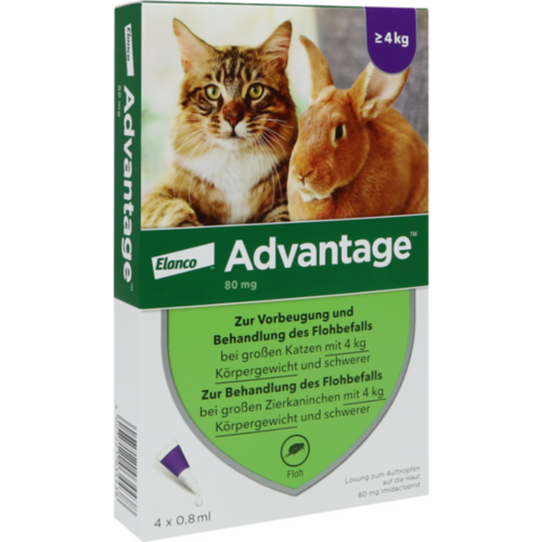 Verpackungsbild(Packshot) von ADVANTAGE 80 mg f.gr.Katzen u.gr.Zierkaninchen
