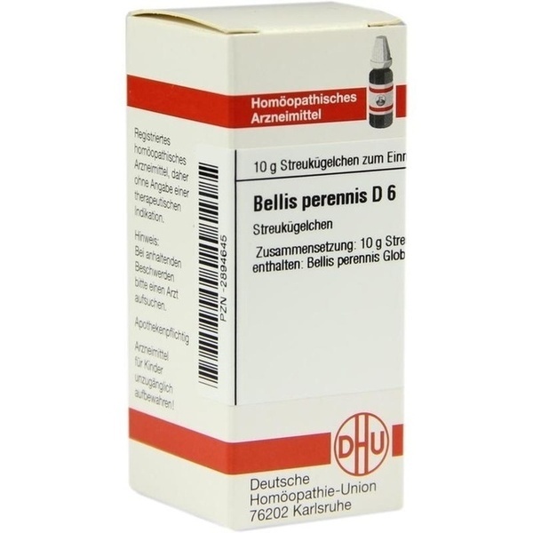 BELLIS PERENNIS D 6 Globuli