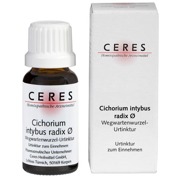 CERES Cichorium intybus radix Urtinktur