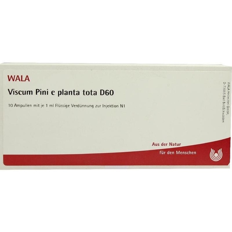 VISCUM PINI e planta tota D 60 Ampullen 10X1 ml