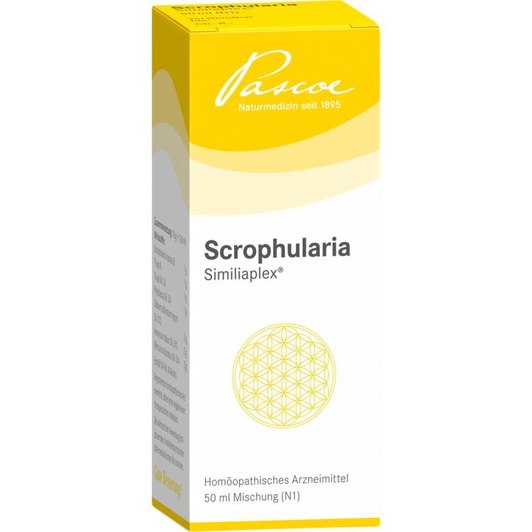 SCROPHULARIA SIMILIAPLEX Tropfen 50 ml