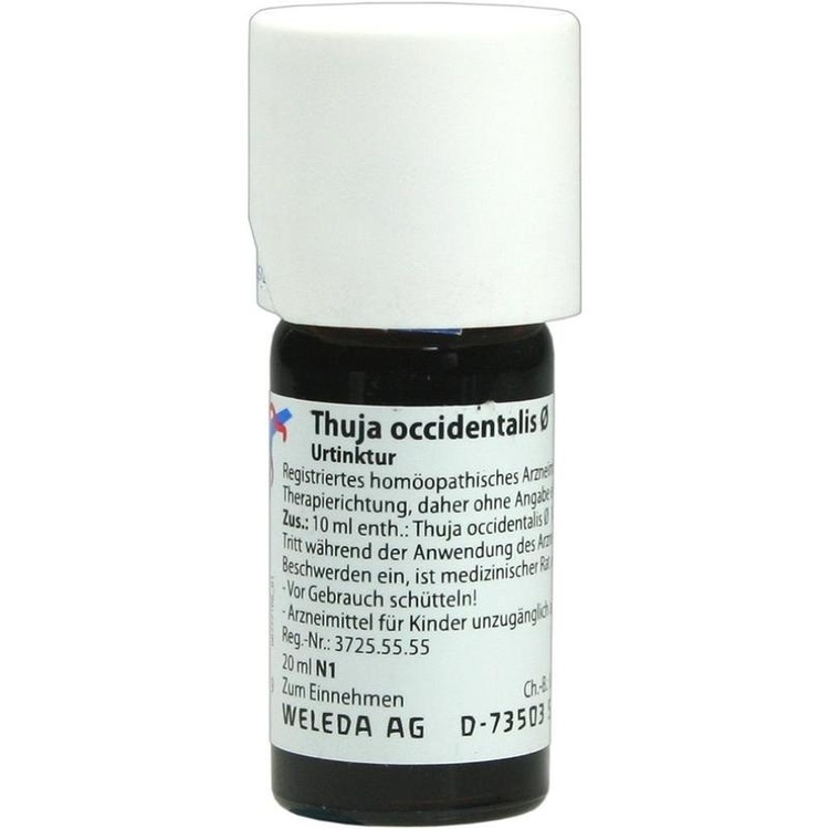 THUJA OCCIDENTALIS Urtinktur 20 ml