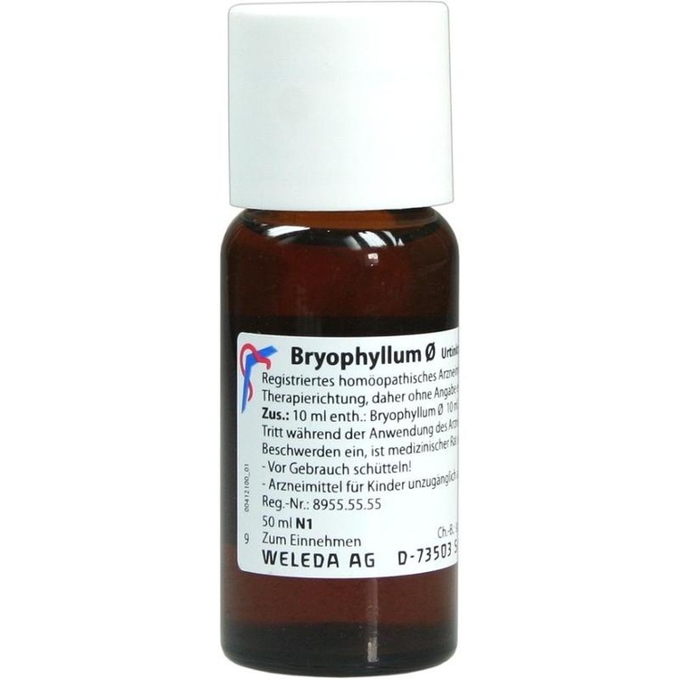 BRYOPHYLLUM Urtinktur 50 ml