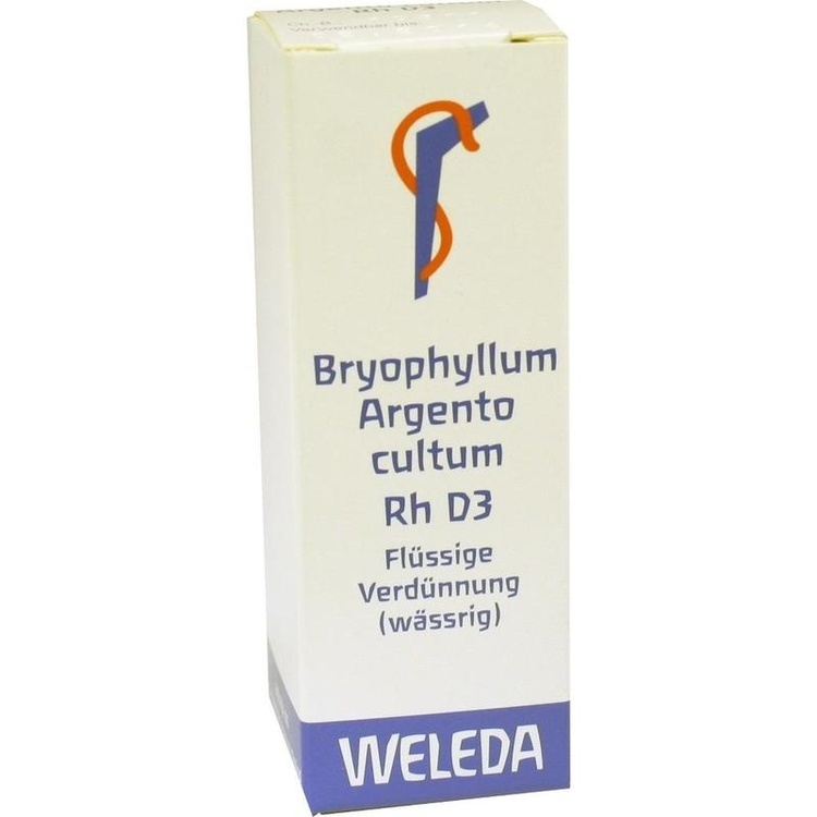 BRYOPHYLLUM ARGENTO cultum Rh D 3 Dilution 20 ml