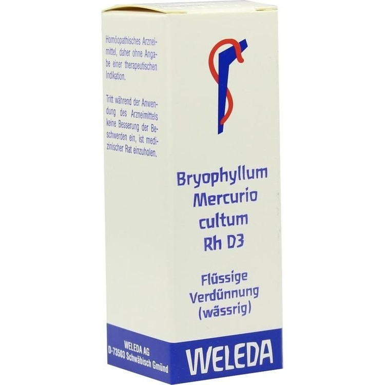 BRYOPHYLLUM MERCURIO cultum Rh D 3 Dilution 20 ml