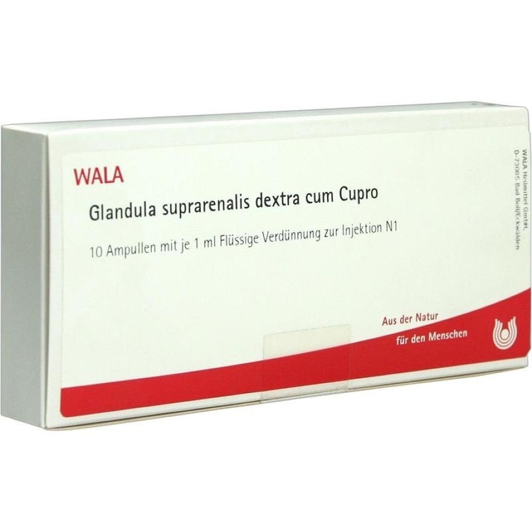 GLANDULA SUPRARENALES dextra cum Cupro Ampullen 10X1 ml