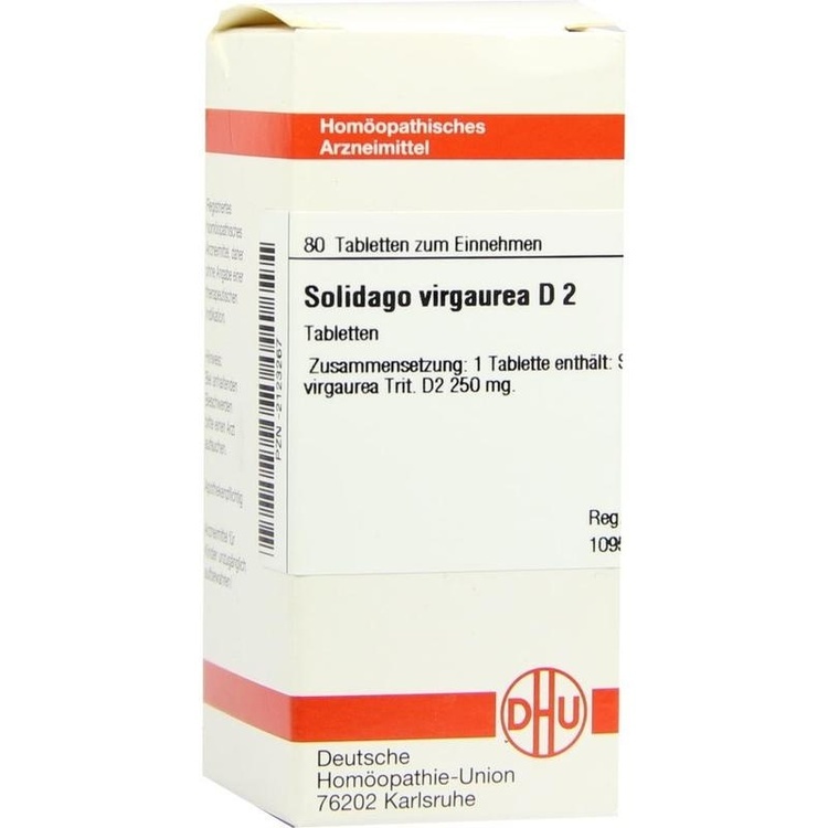 SOLIDAGO VIRGAUREA D 2 Tabletten 80 St