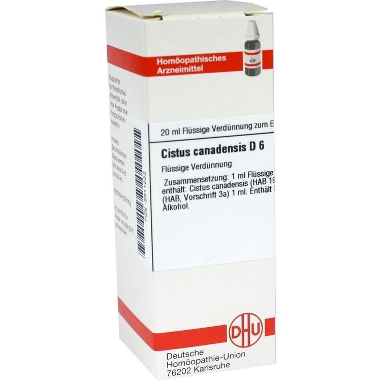 CISTUS CANADENSIS D 6 Dilution 20 ml