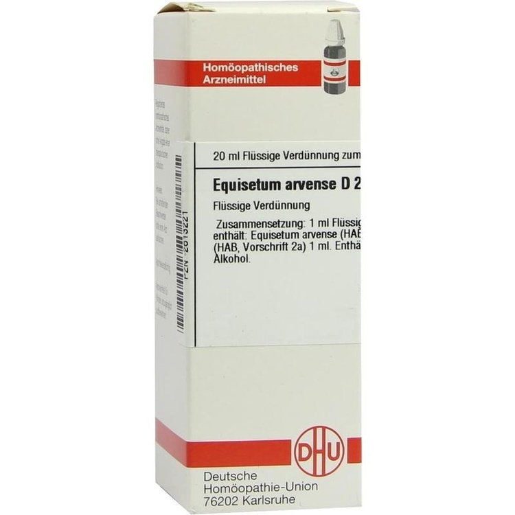 EQUISETUM ARVENSE D 2 Dilution 20 ml