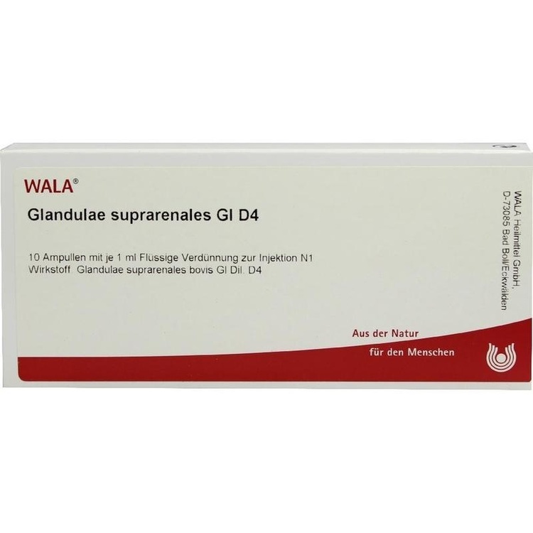 GLANDULAE SUPRARENALES GL D 4 Ampullen 10X1 ml