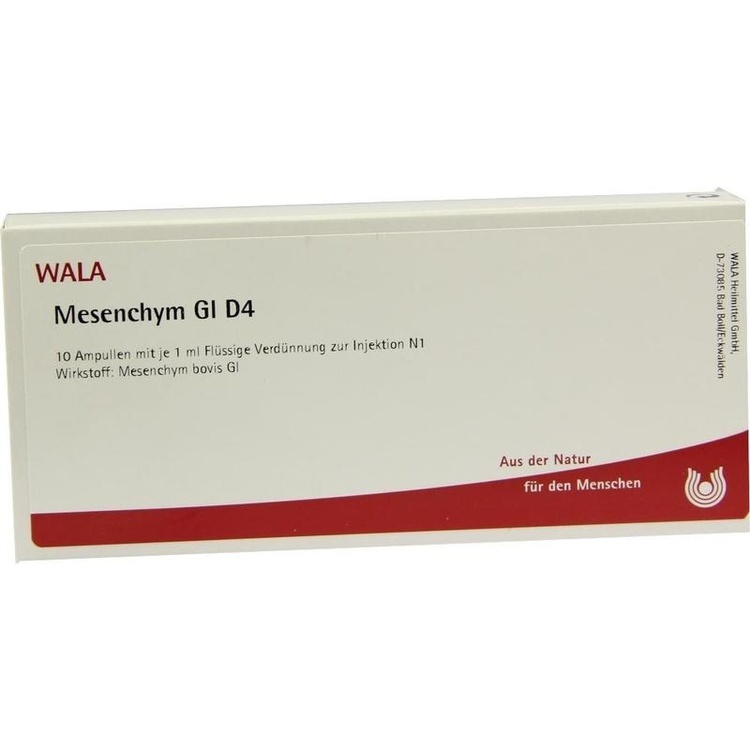 MESENCHYM GL D 4 Ampullen 10X1 ml