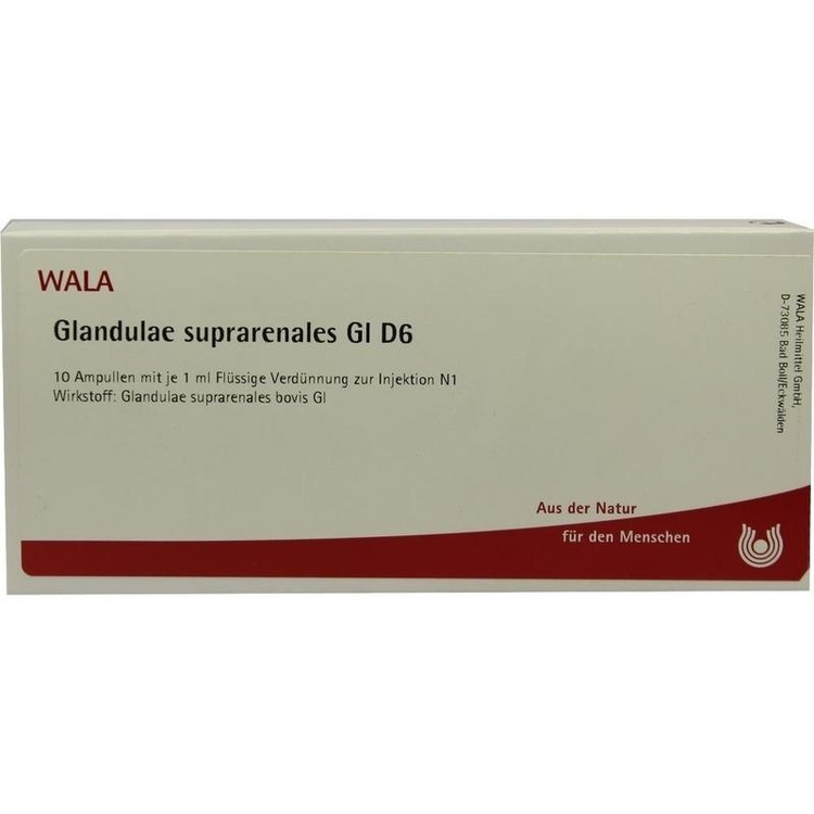 GLANDULAE SUPRARENALES GL D 6 Ampullen 10X1 ml