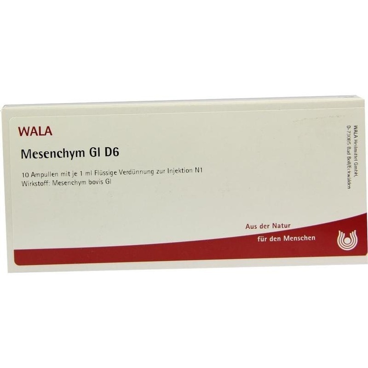 MESENCHYM GL D 6 Ampullen 10X1 ml