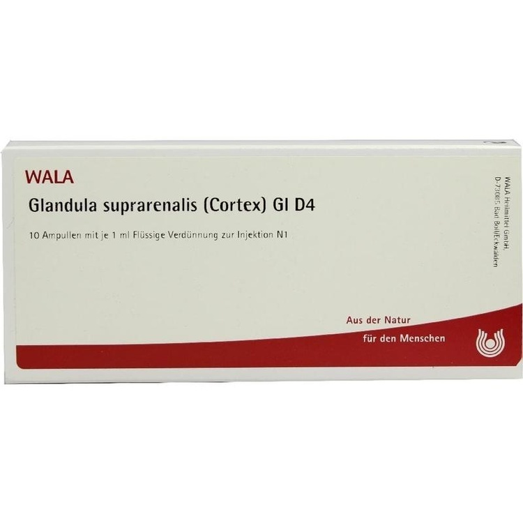 GLANDULA SUPRARENALIS cortex GL D 4 Ampullen 10X1 ml