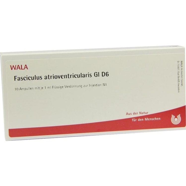 FASCICULUS atrioventricularis GL D 6 Ampullen 10X1 ml