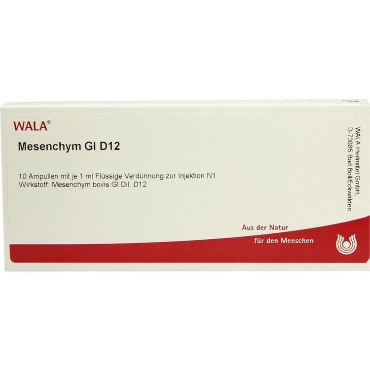 MESENCHYM GL D 12 Ampullen 10X1 ml