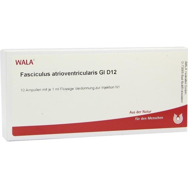 FASCICULUS atrioventricularis GL D 12 Ampullen 10X1 ml