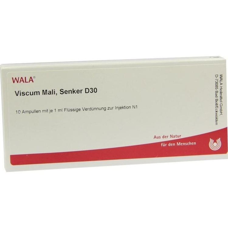 VISCUM MALI Senker D 30 Ampullen 10X1 ml