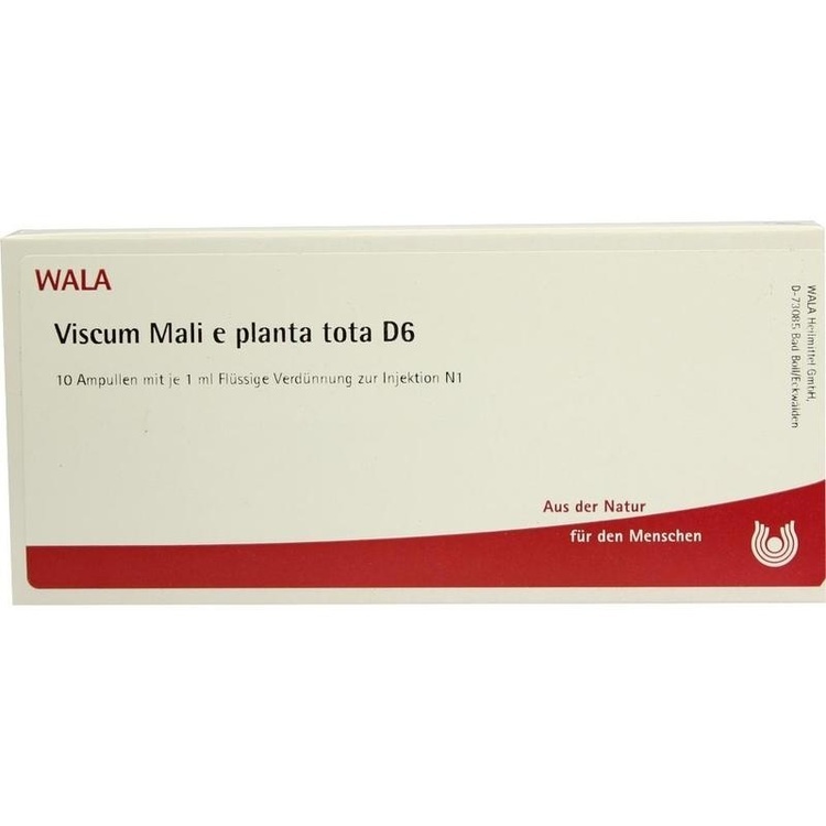 VISCUM MALI e planta tota D 6 Ampullen 10X1 ml