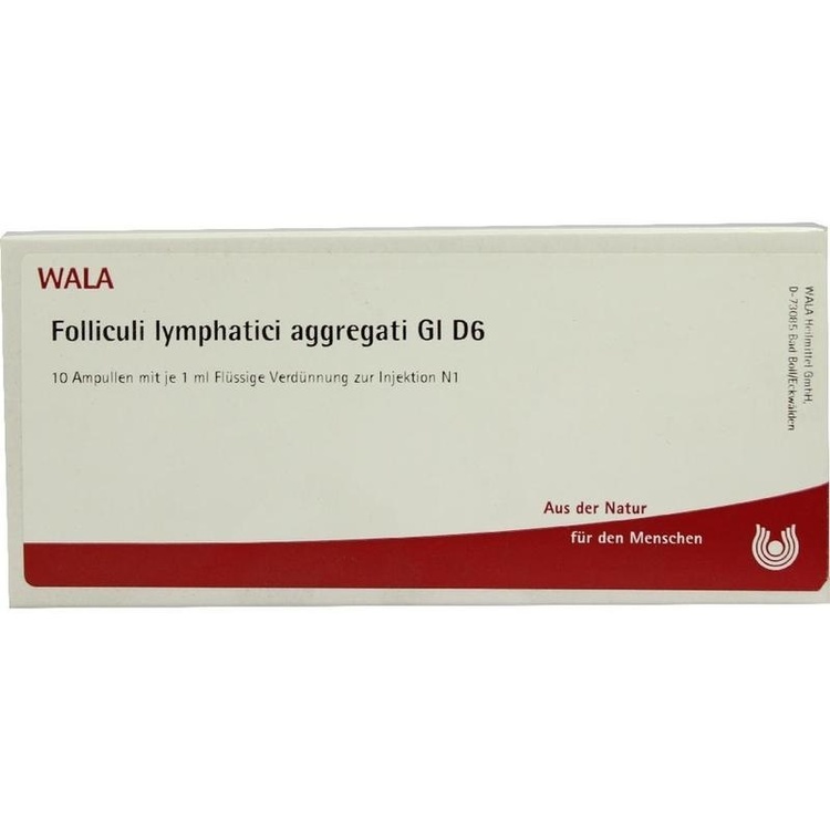 FOLLICULI LYMPHATICI aggregati GL D 6 Ampullen 10X1 ml