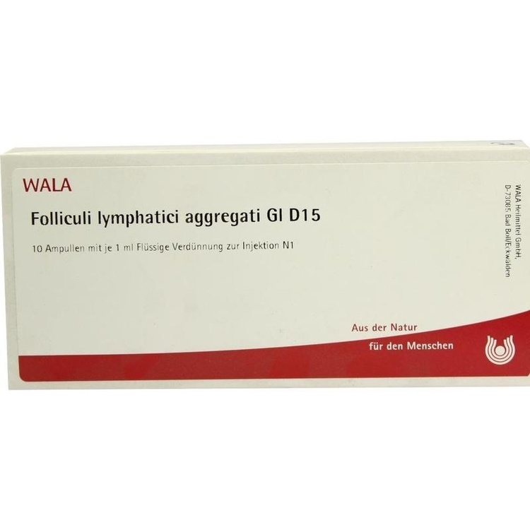 FOLLICULI LYMPHATICI aggregati GL D 15 Ampullen 10X1 ml