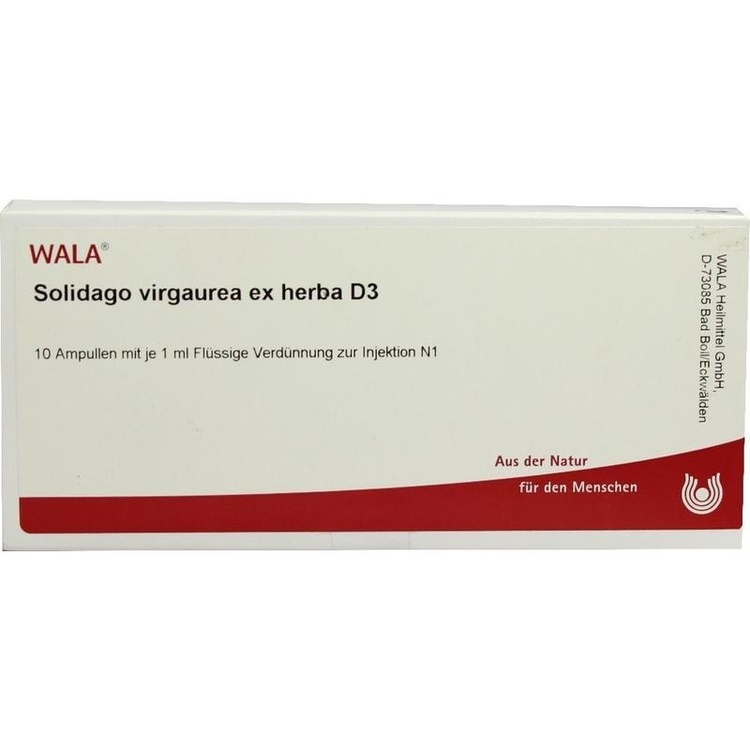 SOLIDAGO VIRGAUREA ex herba D 3 Ampullen 10X1 ml