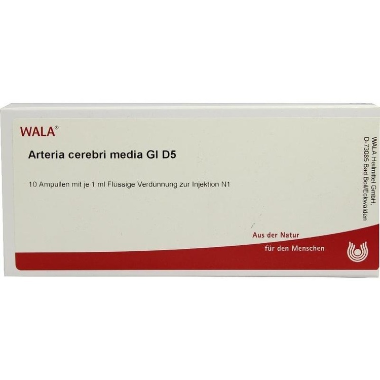 ARTERIA CEREBRI media GL D 5 Ampullen 10X1 ml