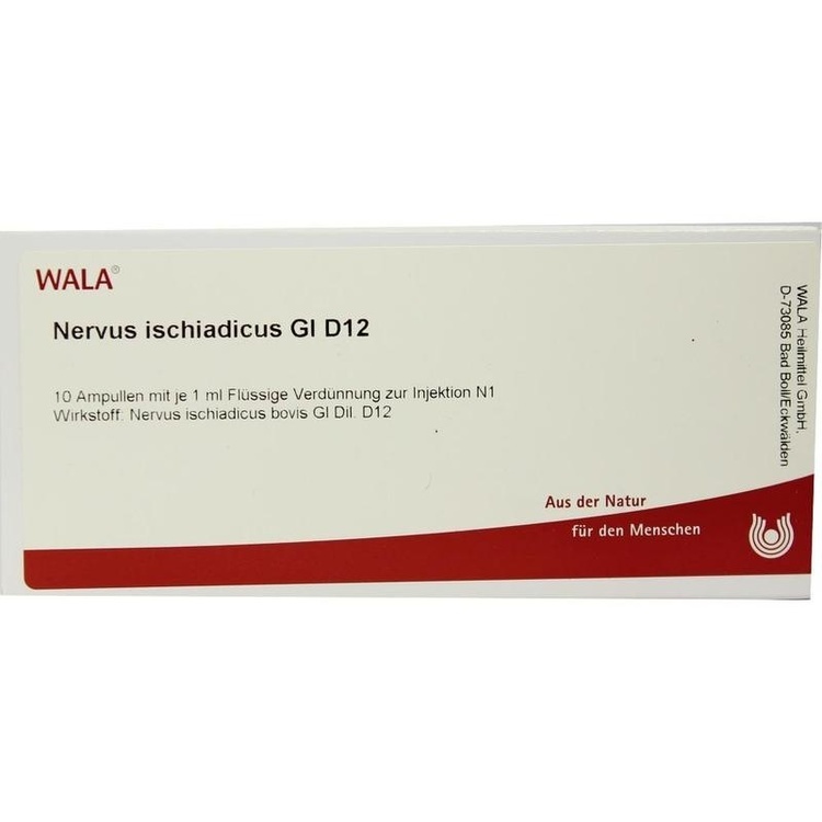 NERVUS ISCHIADICUS GL D 12 Ampullen 10X1 ml