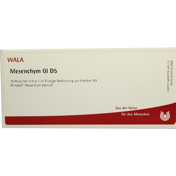 MESENCHYM GL D 5 Ampullen 10X1 ml