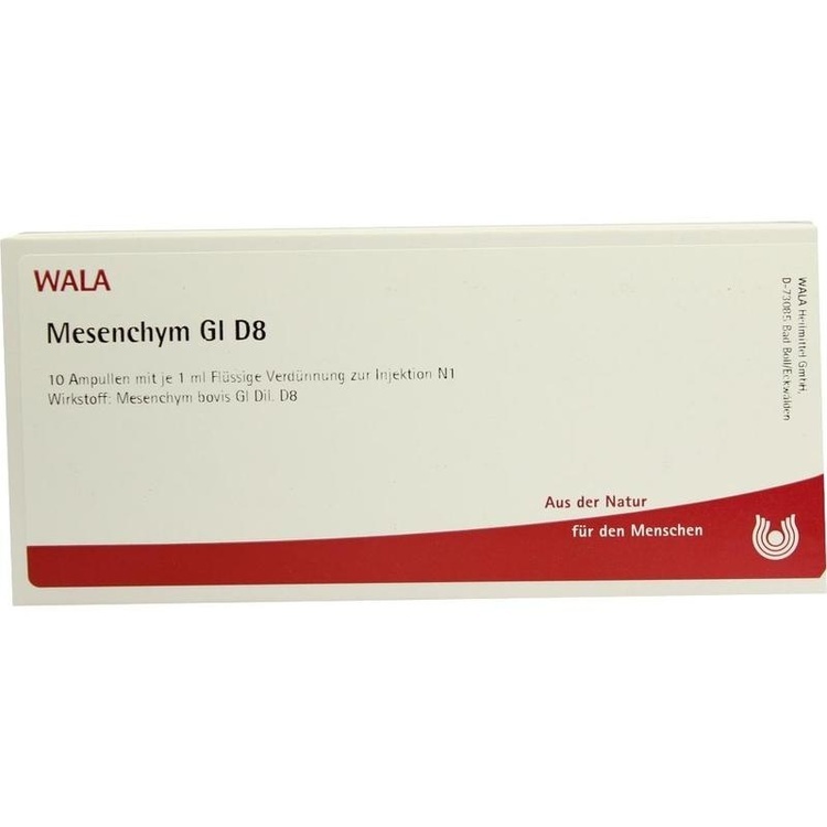 MESENCHYM GL D 8 Ampullen 10X1 ml