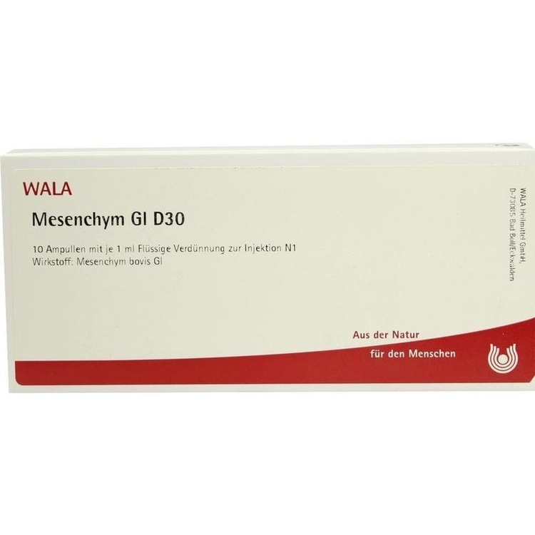 MESENCHYM GL D 30 Ampullen 10X1 ml