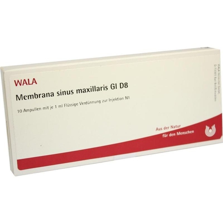 MEMBRANA sinus maxillaris GL D 8 Ampullen 10X1 ml