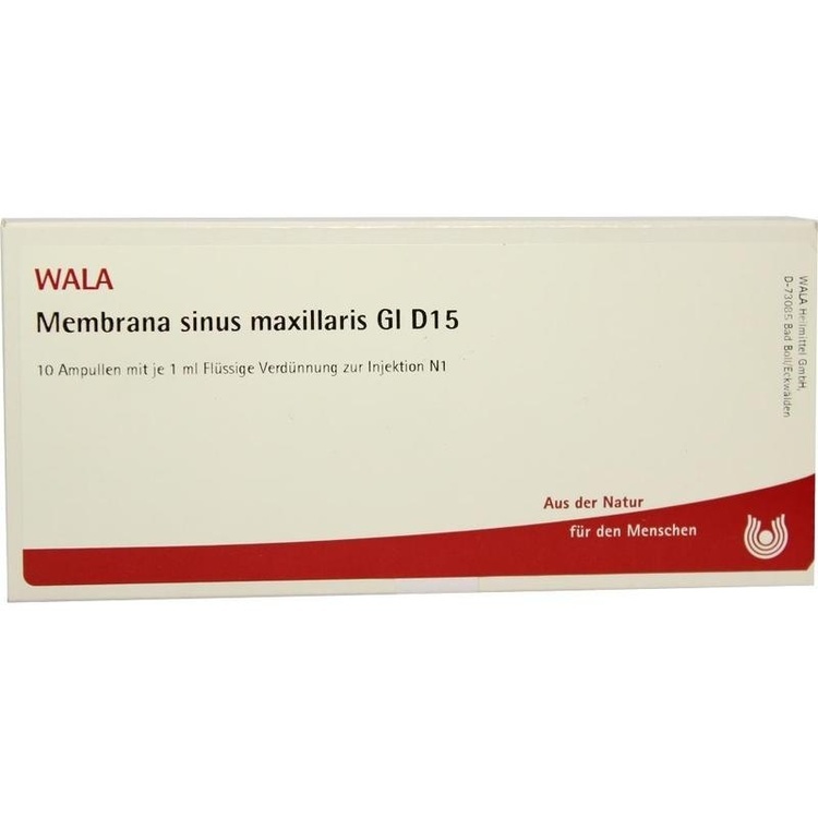 MEMBRANA sinus maxillaris GL D 15 Ampullen 10X1 ml