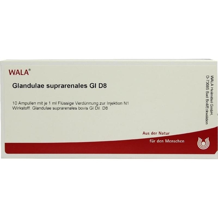 GLANDULAE SUPRARENALES GL D 8 Ampullen 10X1 ml