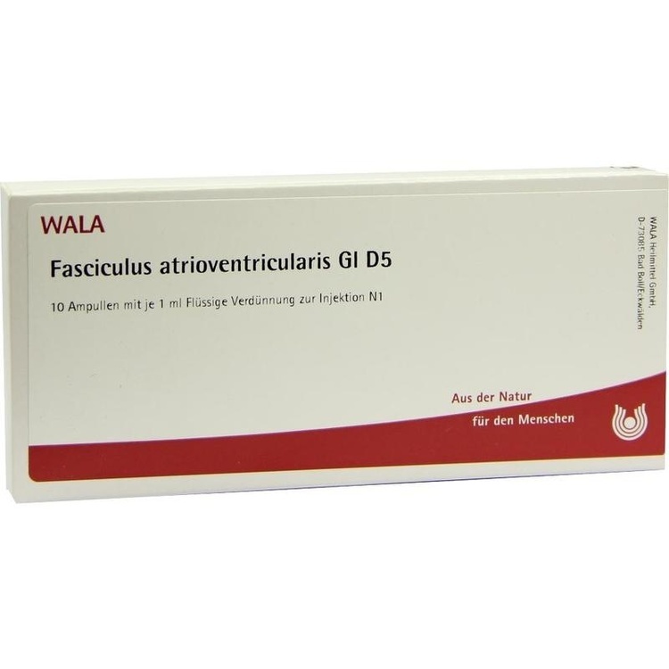 FASCICULUS atrioventricularis GL D 5 Ampullen 10X1 ml