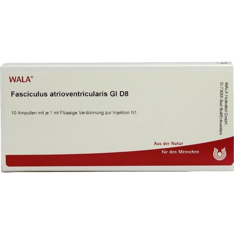 FASCICULUS atrioventricularis GL D 8 Ampullen 10X1 ml