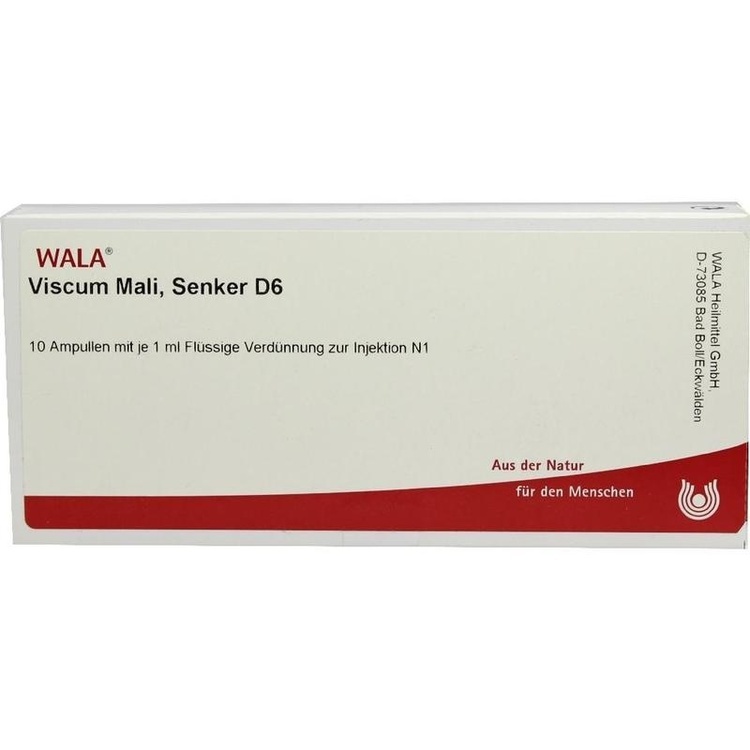 VISCUM MALI Senker D 6 Ampullen 10X1 ml