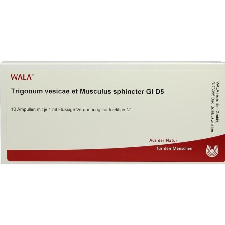 TRIGONUM vesicae et Musculus sphincter GL D 5 Amp. 10X1 ml