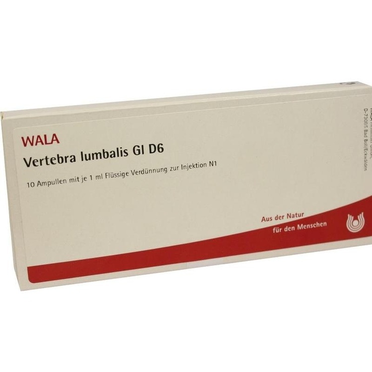 VERTEBRA lumbalis GL D 6 Ampullen 10X1 ml