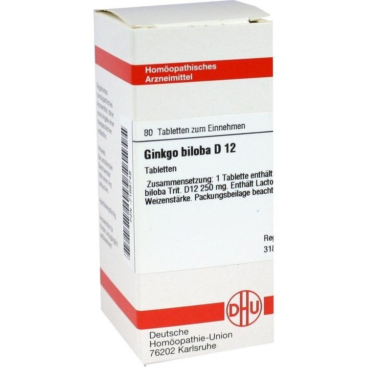 GINKGO BILOBA D 6 Tabletten 80 St