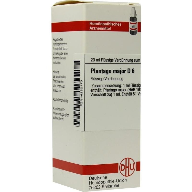 PLANTAGO MAJOR D 6 Dilution 20 ml