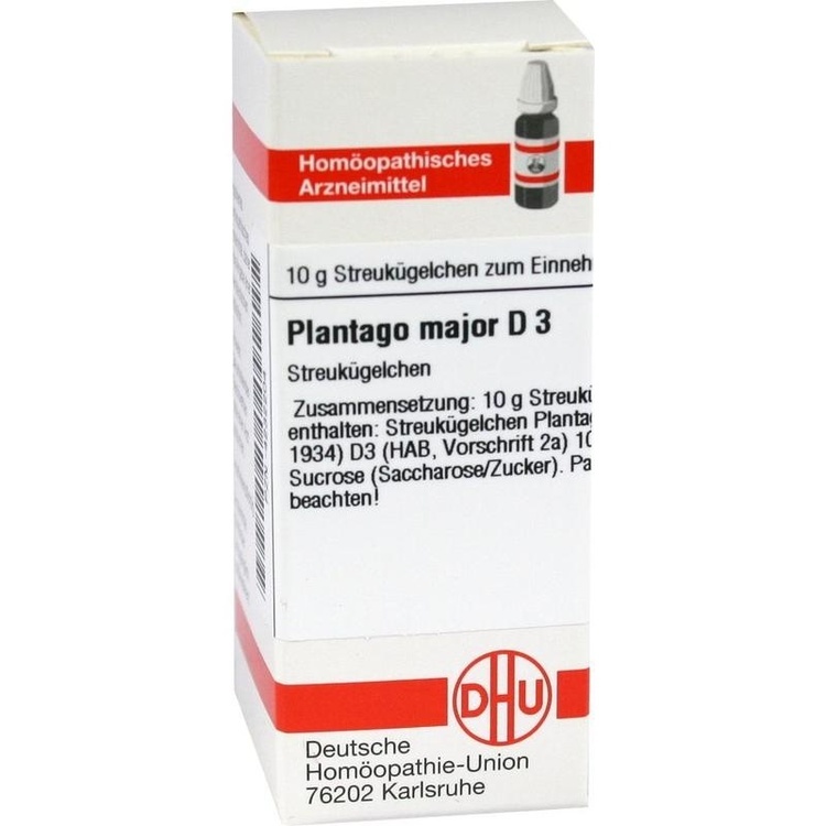 PLANTAGO MAJOR D 3 Globuli 10 g