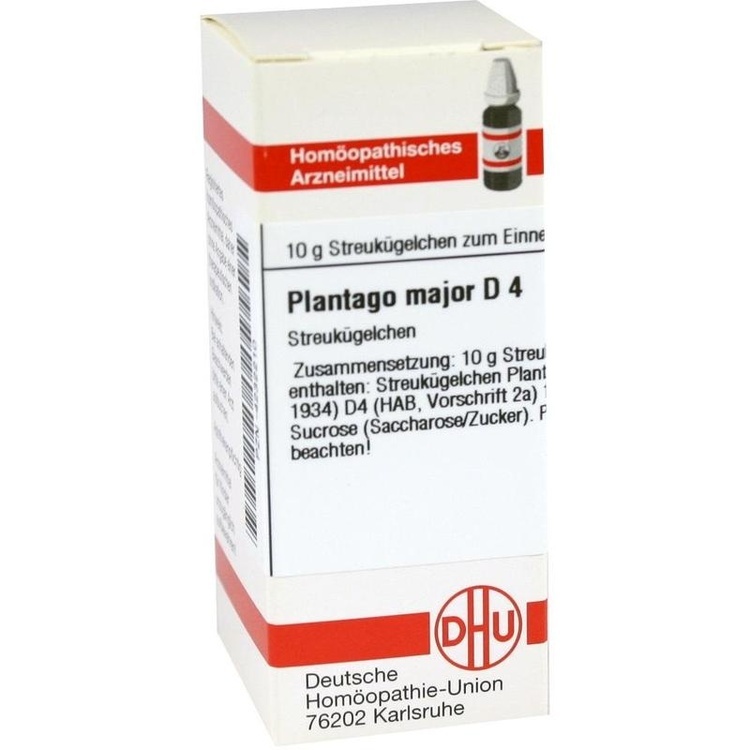 PLANTAGO MAJOR D 4 Globuli 10 g