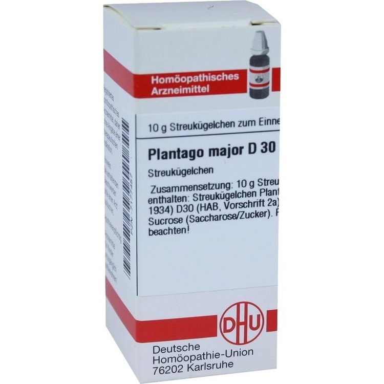 PLANTAGO MAJOR D 30 Globuli 10 g