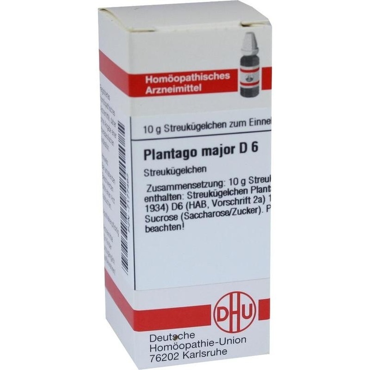 PLANTAGO MAJOR D 6 Globuli 10 g