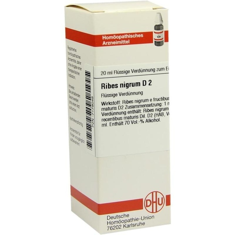 RIBES NIGRUM D 2 Dilution 20 ml