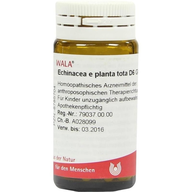 ECHINACEA E planta tota D 6 Globuli 20 g